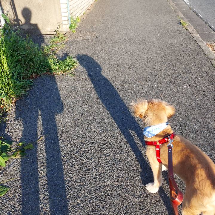 22e3ecbe 4a56 4d1d 8c31 7d92b92a9b3d 1619430316398