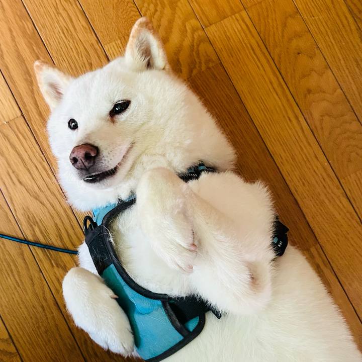 22e3edab e5eb 41c3 bdf1 8d9604321d03 1721255116816