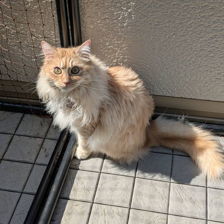 22e3f52e 6b57 4a0d aa22 7628d52208ad 1748389428079