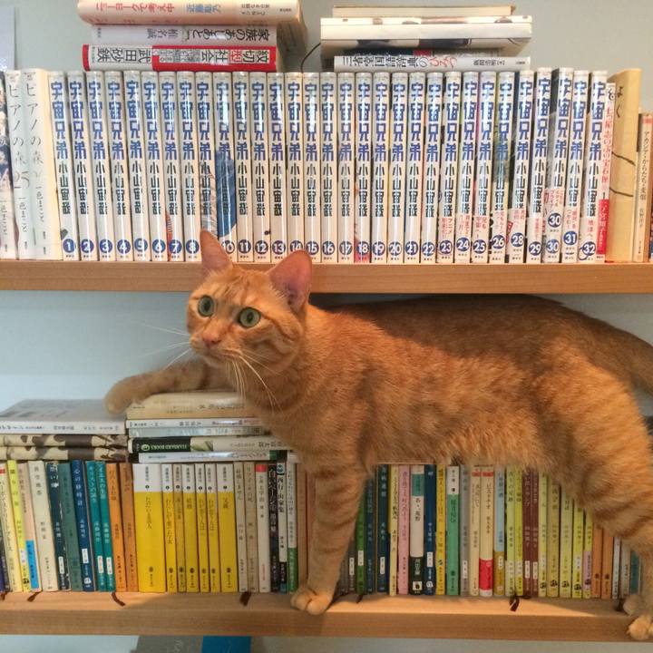 22e4016d ced8 468d a0e2 c9049ba7481a 1534164957119