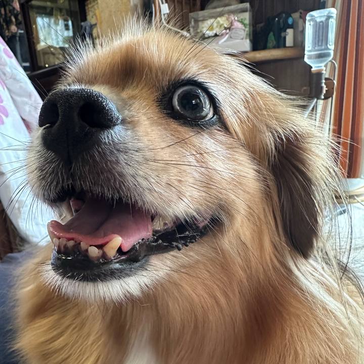 22e402f2 4277 4dde 8aa3 d11ec1bb2532 1754609749573