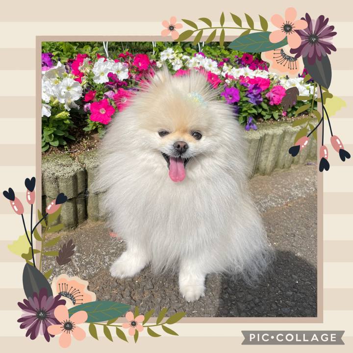 22e4342c c91e 4302 98a8 ecaac0a6ef03 1746402392954