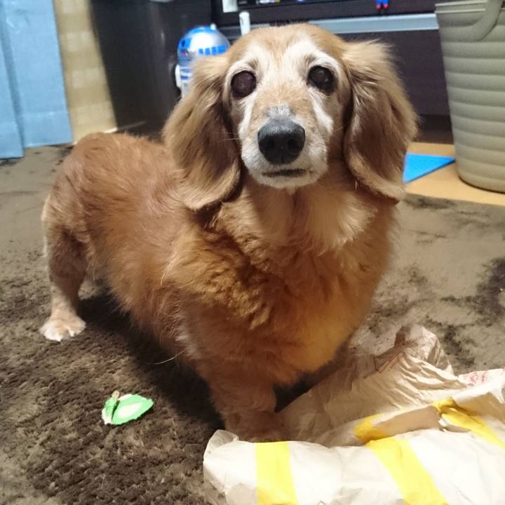 22e437fd c61d 427f a77a bce5016fa340 1577466526023