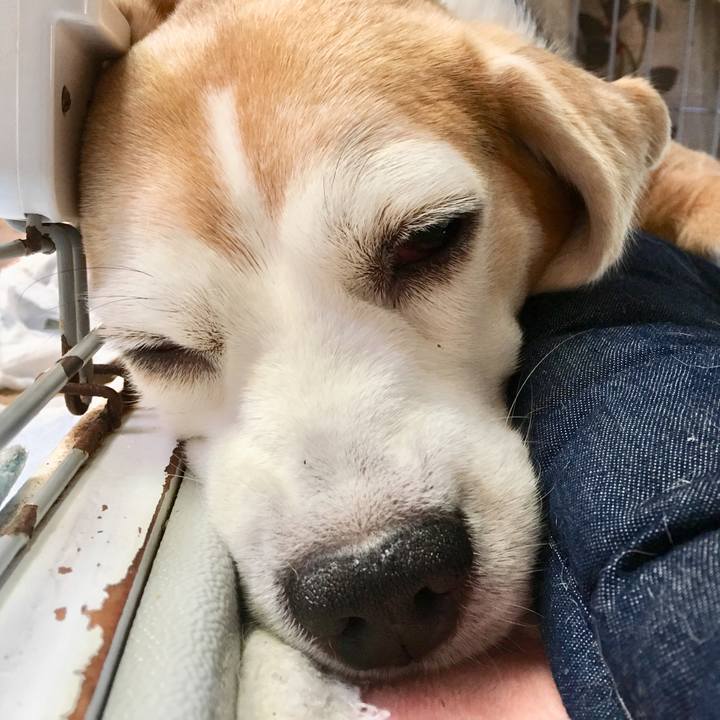 22e44b8b fbf0 46d4 a920 bdee5d417806 1566271895016