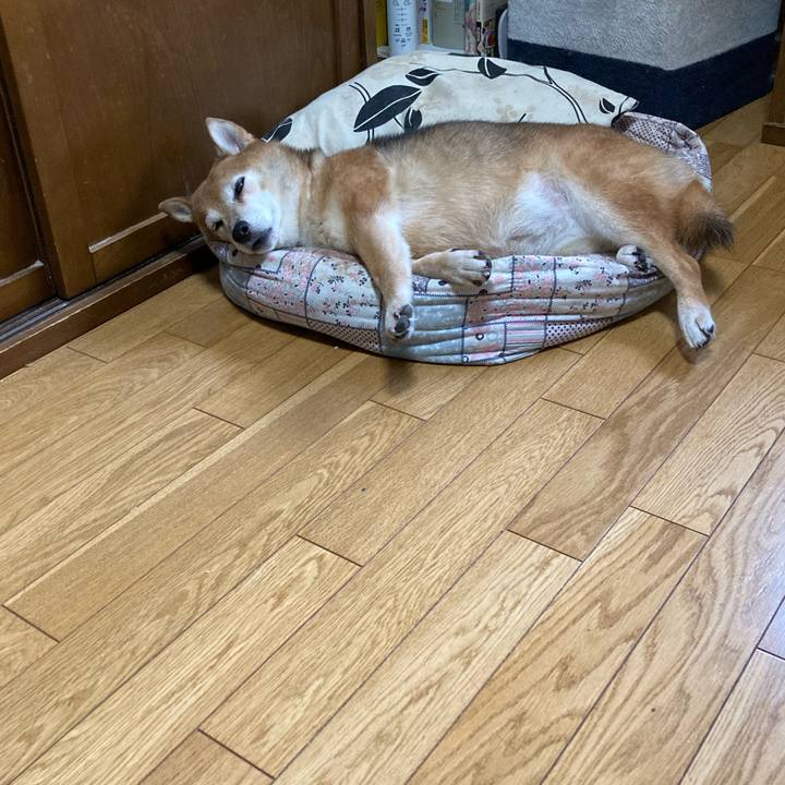 22e456c6 cba6 47af 97fd 4e082d94334d 1663200713249