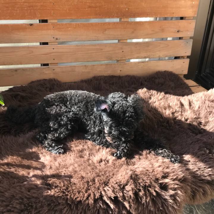 22e458db a1ce 474b ad03 30dbb509f26f 1515803889254