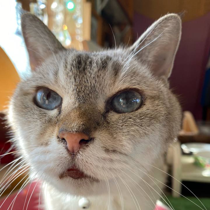 22e459e4 2e41 4520 b27e 31cecfc668ca 1603251807716