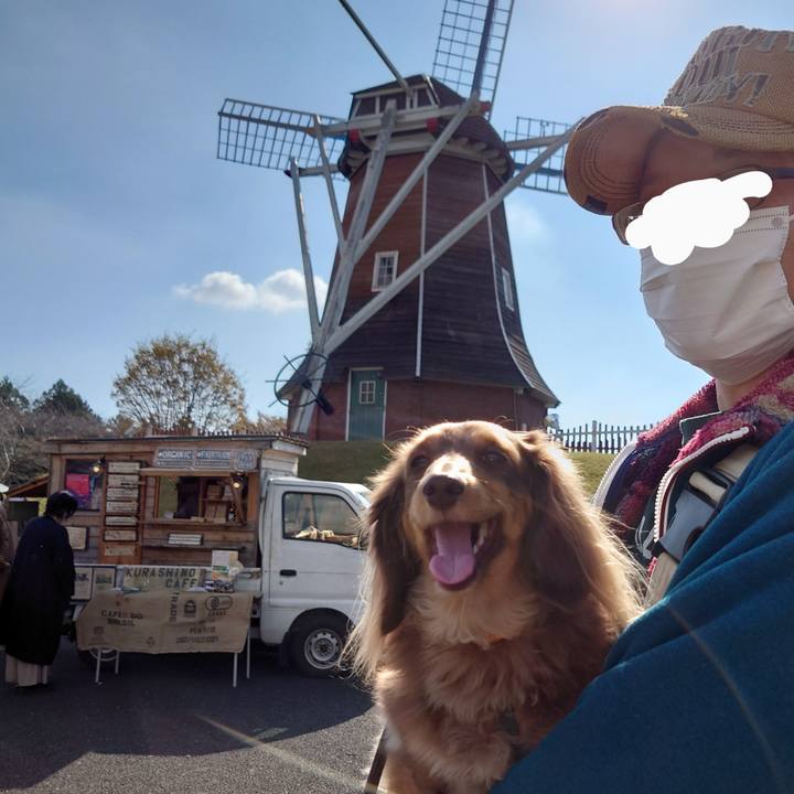 22e45c93 9483 4c66 bb97 75af17735511 1636176588729