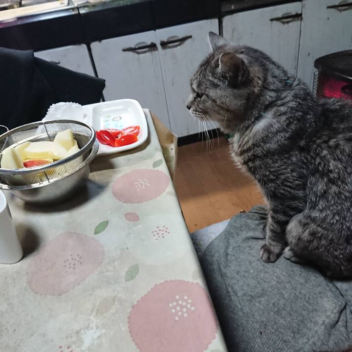 22e4c032 8511 48da 89dc e2dad6c124cc 1574373590145