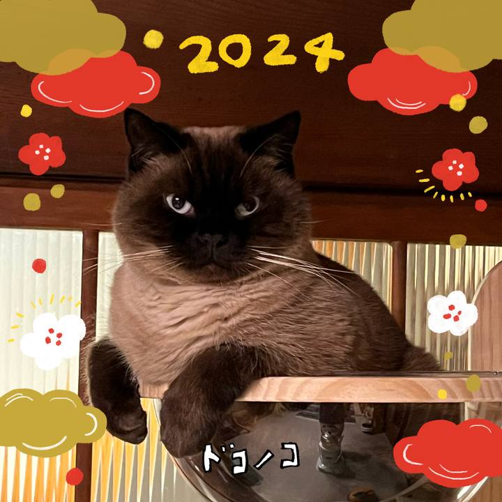 22e4e7c0 6c16 4f50 9485 12b9482c61f4 1704273316714