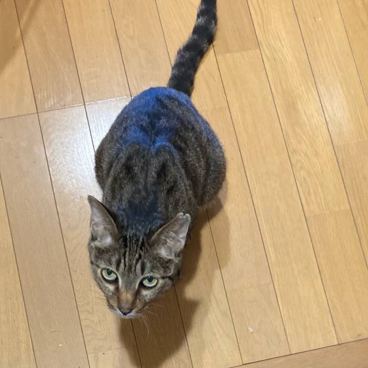 22e54666 f5c8 4ff3 ab43 0bd8c37a70c2 1718946215748