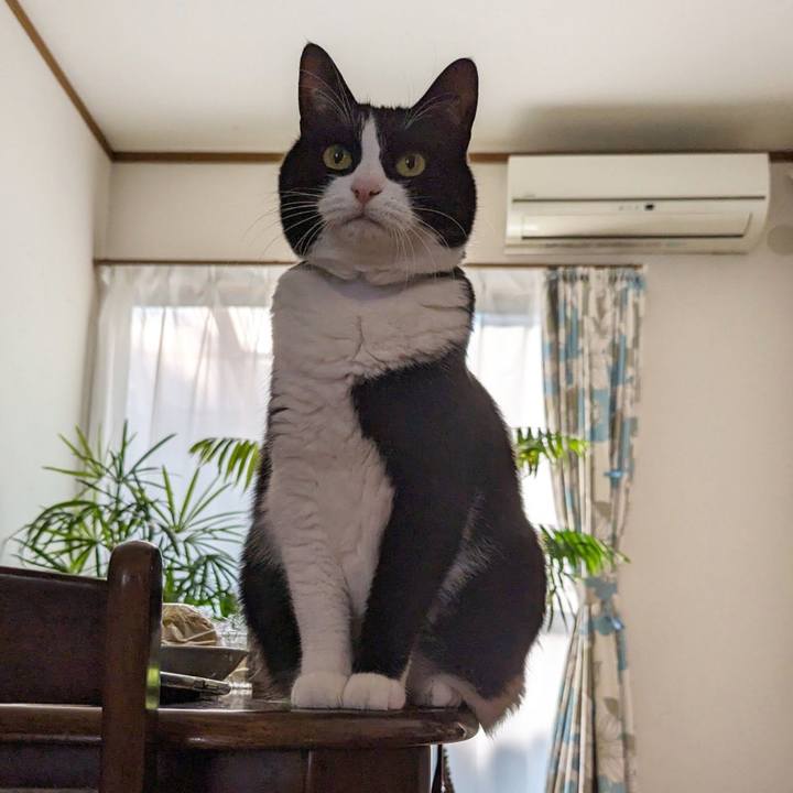 22e590e6 3b0f 43da acdf 7badaf15c9e8 1704336058367