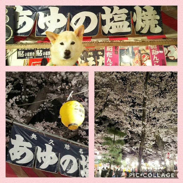 22e5c364 5643 415d ab72 a540f5fd962c 1522598889808