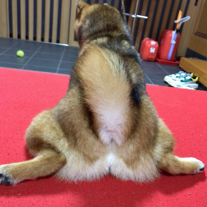 22e5df66 00c4 46d6 9b95 d0729f7cebec 1538713006675