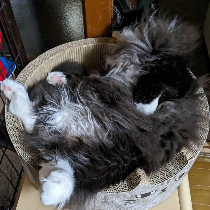 22e5f197 22eb 41da 9345 7fd66b97f7d5 1697336672675