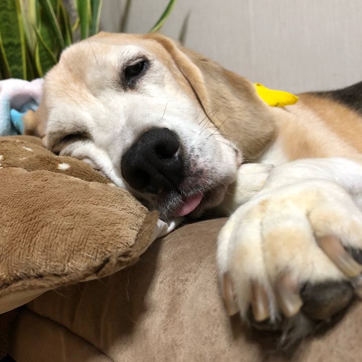 22e61be0 e812 4244 b83c 9a6e62095350 1565187834337