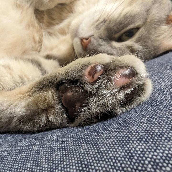 22e634e6 29e2 4470 a6e3 a8e4b8cdf0fa 1715424925683