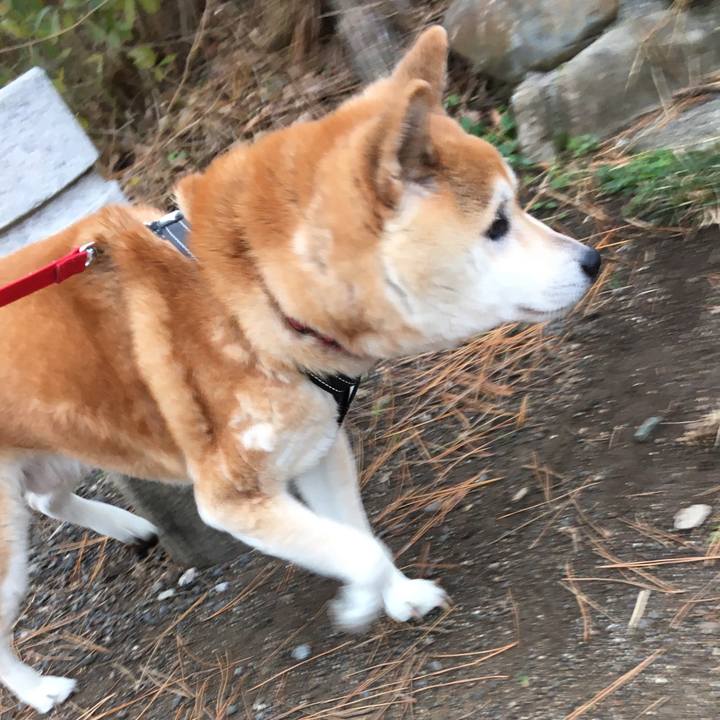 22e680c6 899e 47f1 9a77 7d74404972ac 1577429892223