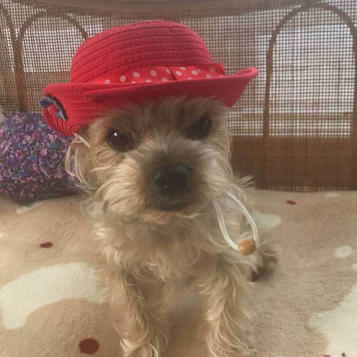 22e69270 b096 4ea4 94ce 050c8b778ee7 1733041182259