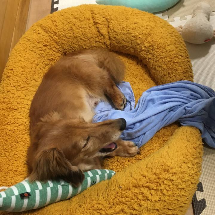 22e6a20d 527f 4935 a14d 1632413a6cb7 1625058019504