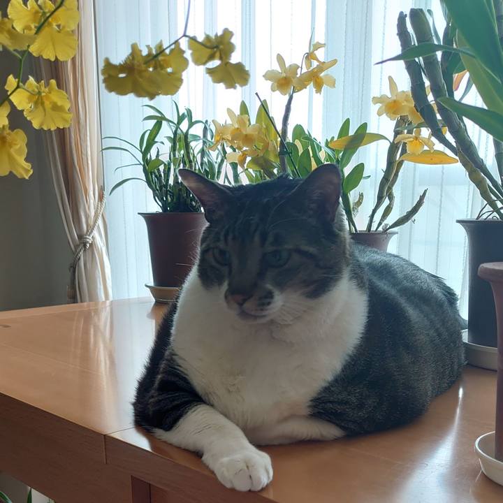 22e6c024 ae53 4d51 a302 7608aee9fafc 1644814412335