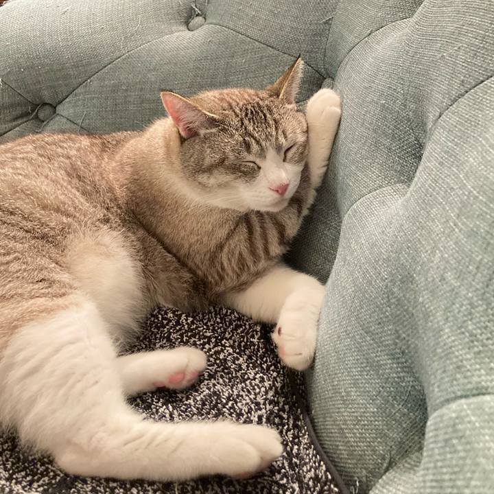 22e6d0f6 7c4e 4d4a 82b7 49a2b087e236 1625747041969