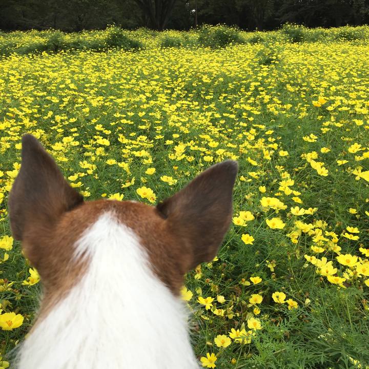 22e6ed22 f102 440f be2e a1ade1be2a5a 1569114469510