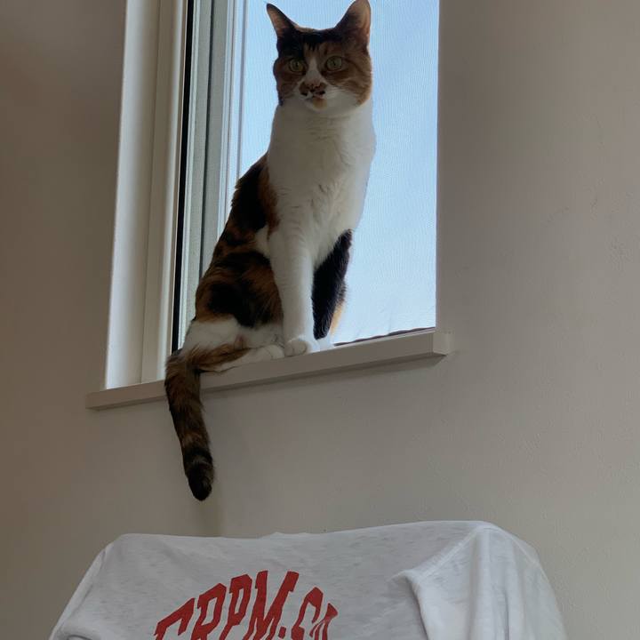 22e70482 0574 4d42 941e e22d00abec18 1588417134590