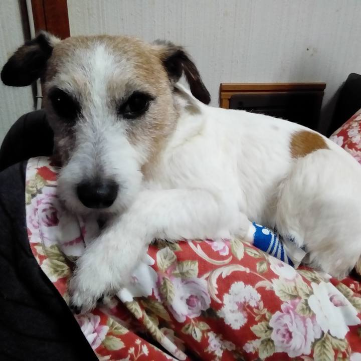 22e71949 b03c 4820 b24c eb365fd32d03 1544096143260