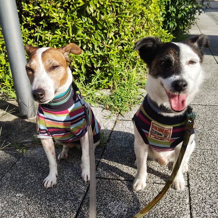 22e75bb6 019b 437f 8158 c076b87deb15 1752789882499