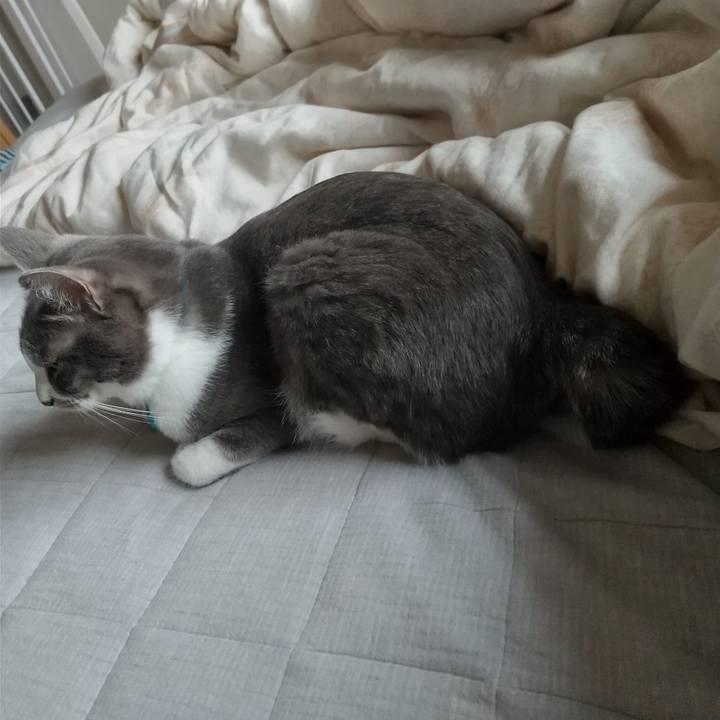 22e76375 8fef 4faf a302 ac4745082277 1619303625485