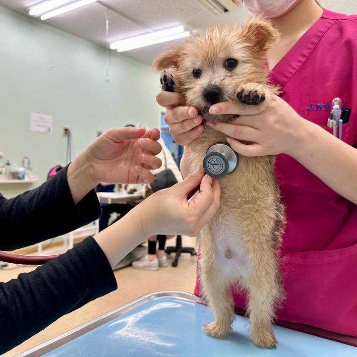 22e77575 41a0 4af9 a9f6 40e2fb7c714f 1701379339890