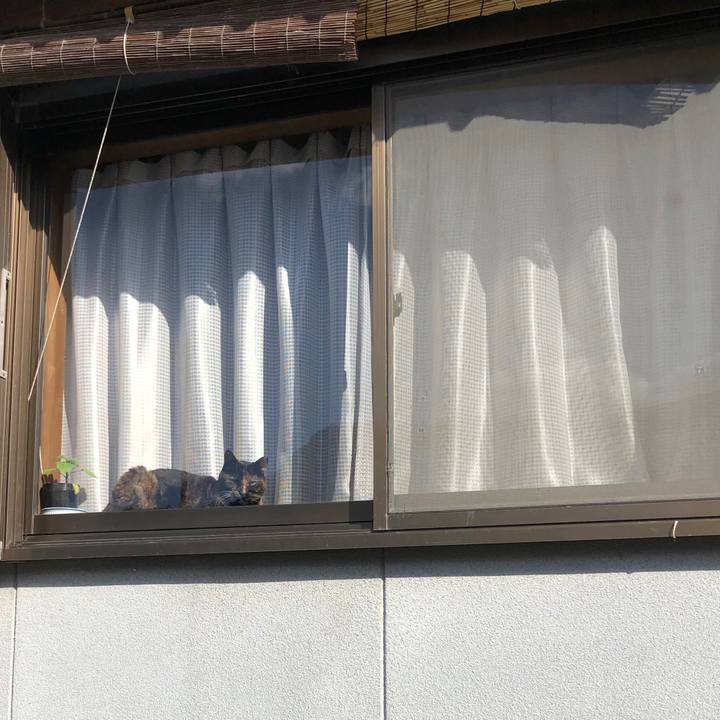 22e7a6a6 c20a 403e 985a b1448a74c71b 1612061626809