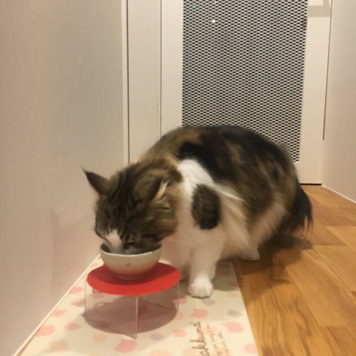 22e7aea1 c99d 4a8b b893 7d7eed4e24a4 1563803010394