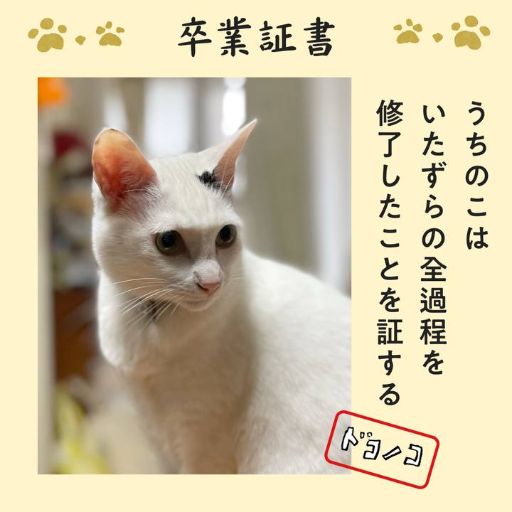 22e7b13b 1a61 471d b55c 55b4e86268e1 1771886855806