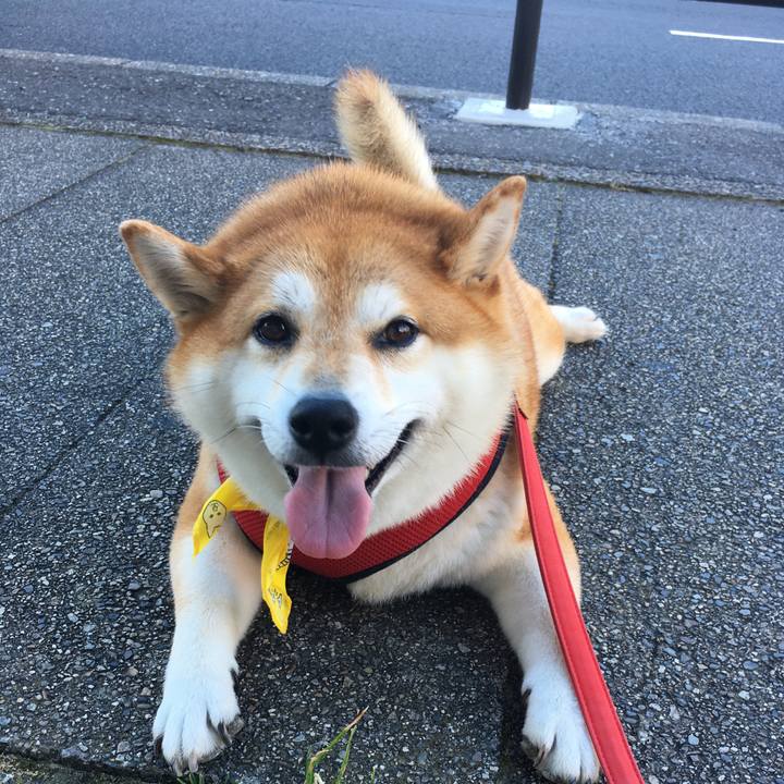 22e7d276 4b2d 44ba bc22 8a0fe0058ce6 1597102693107