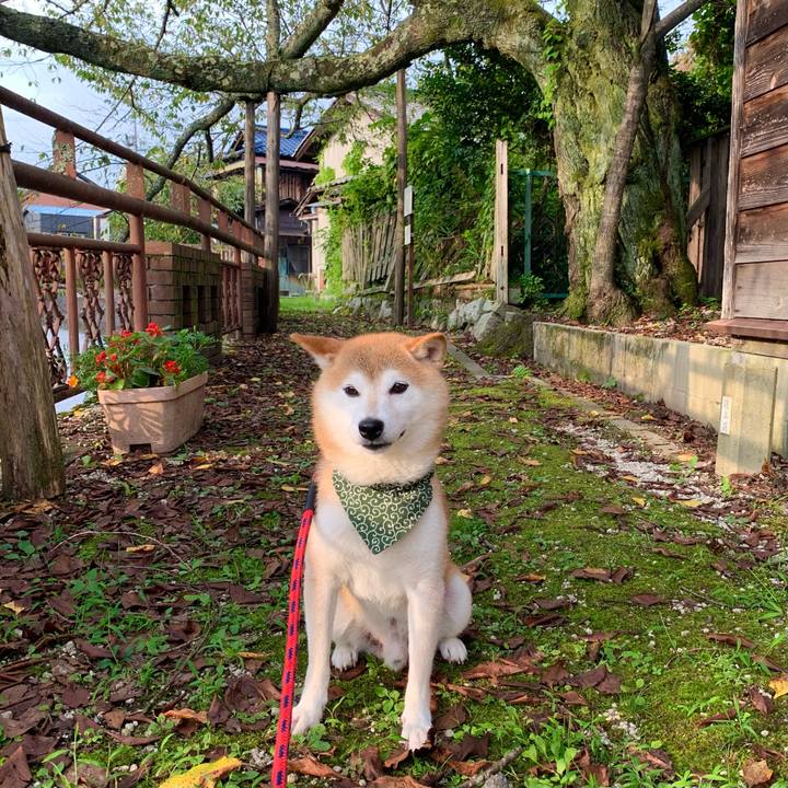 22e7e548 b8fd 410e 9e13 7ee4282df3e2 1661509811337