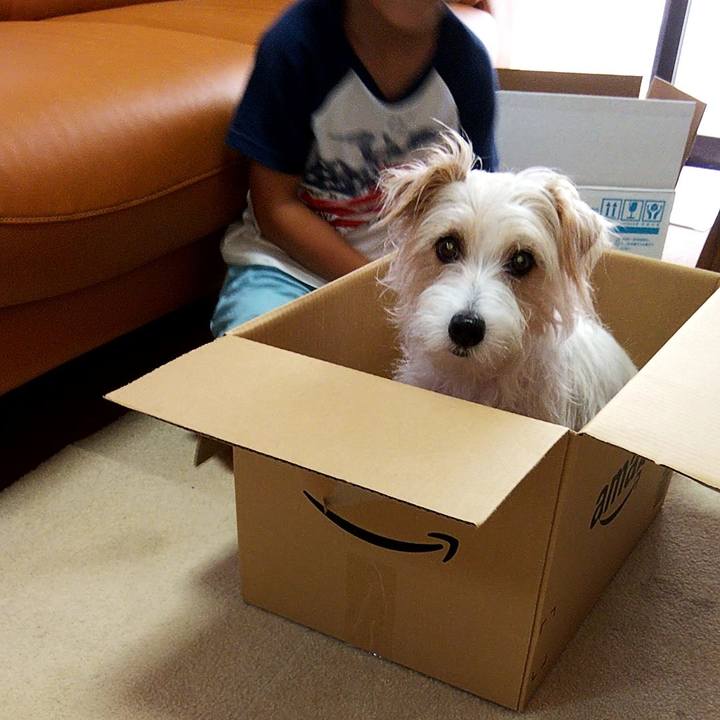 22e8037f a4d1 4d3b ab08 d9623b557dbb 1566031702612