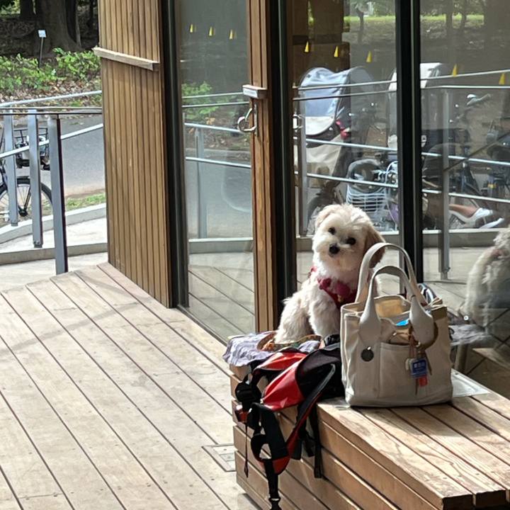 22e84435 6c5d 426b b046 1f05dd604330 1760325968767