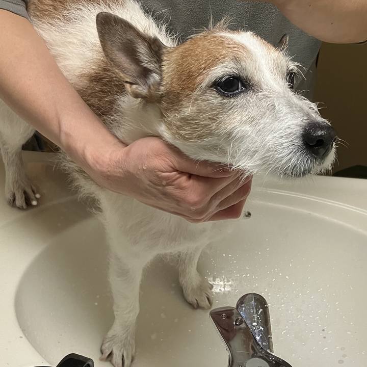 22e88a9e 57fb 4440 a717 b276788b2cb6 1712186546362