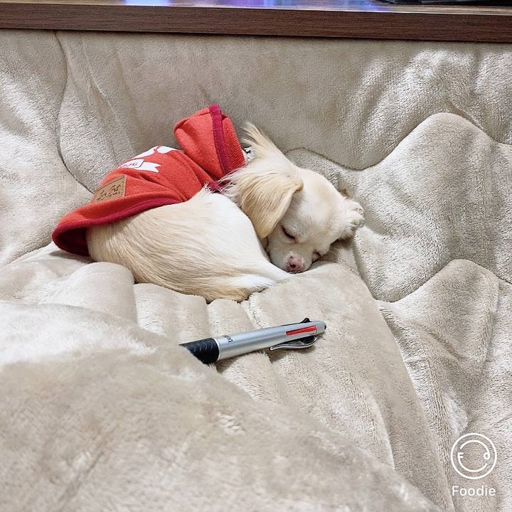 22e8c13d ef67 4978 b6ab e3ae4276bfae 1608364089609