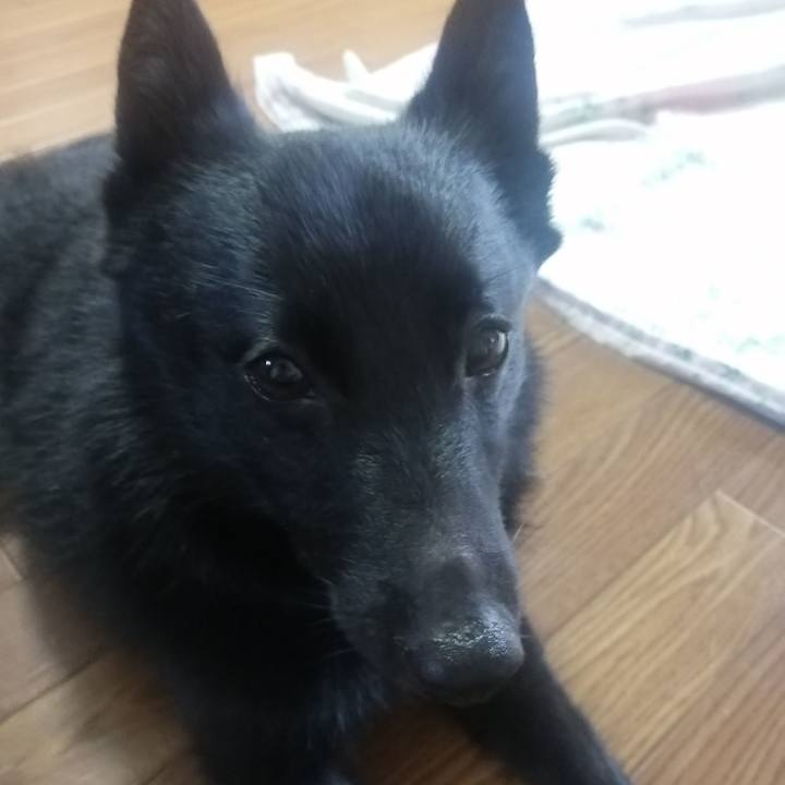 22e8f22a ae4c 4f3a 86f0 dec97918b7ba 1652219800557