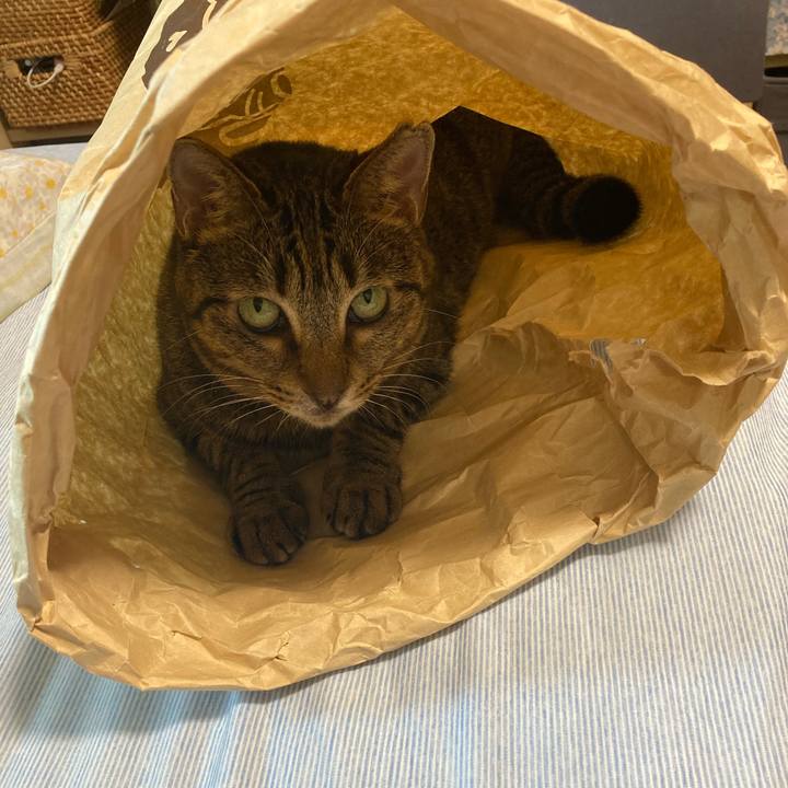 22e8f910 f5b6 46bf 8716 abae19138ed2 1662780731378