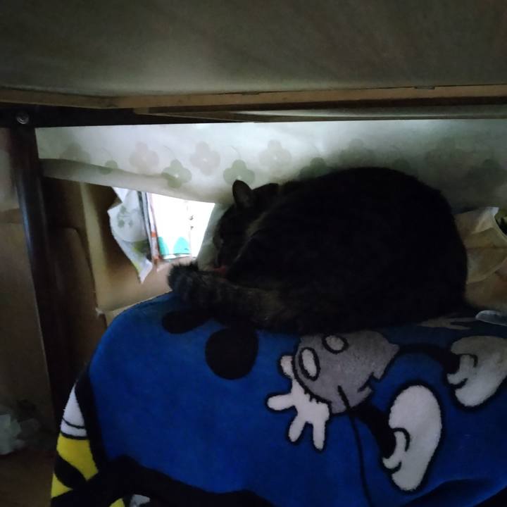 22e925f3 88bf 4711 8ca4 79c8ba305919 1667081362699