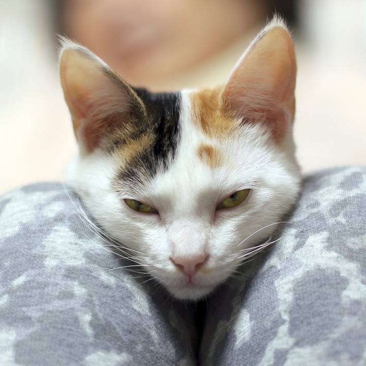 22e92644 636b 4bbc 9339 1d8d3f7850a0 1581550969505