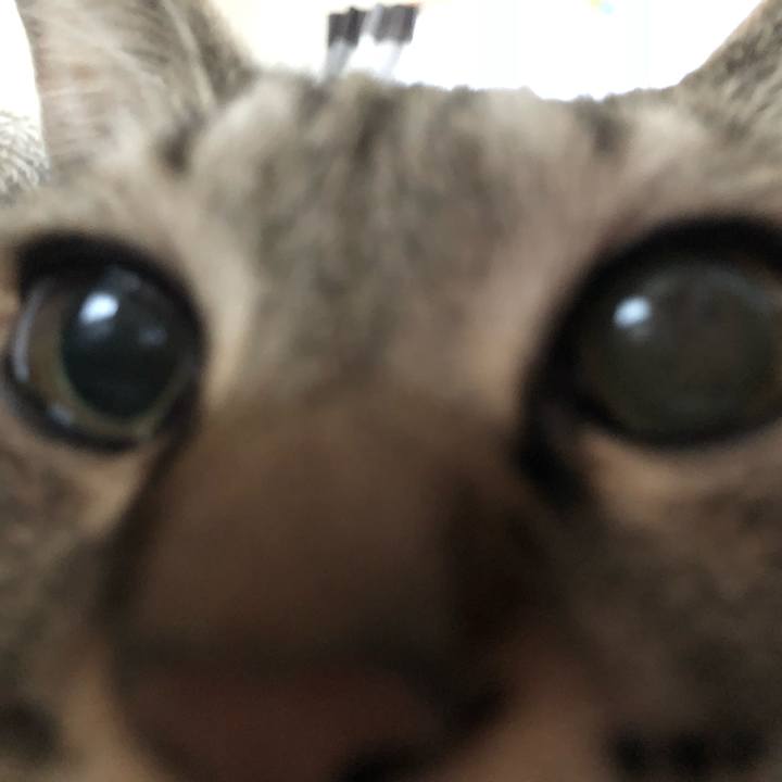 22e928d5 a980 4fdb 8cc6 dd1d2794c60f 1541289059949