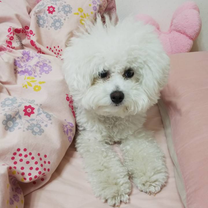 22e93551 e685 4974 a0ea 374d2d9de530 1521589379020