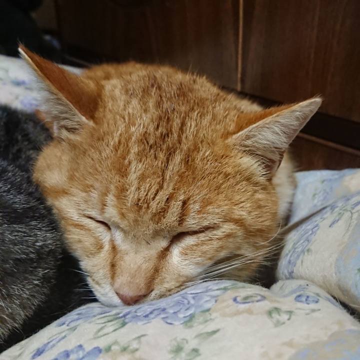 22e962e0 8124 491a 9024 8a3699f9e947 1582632966217