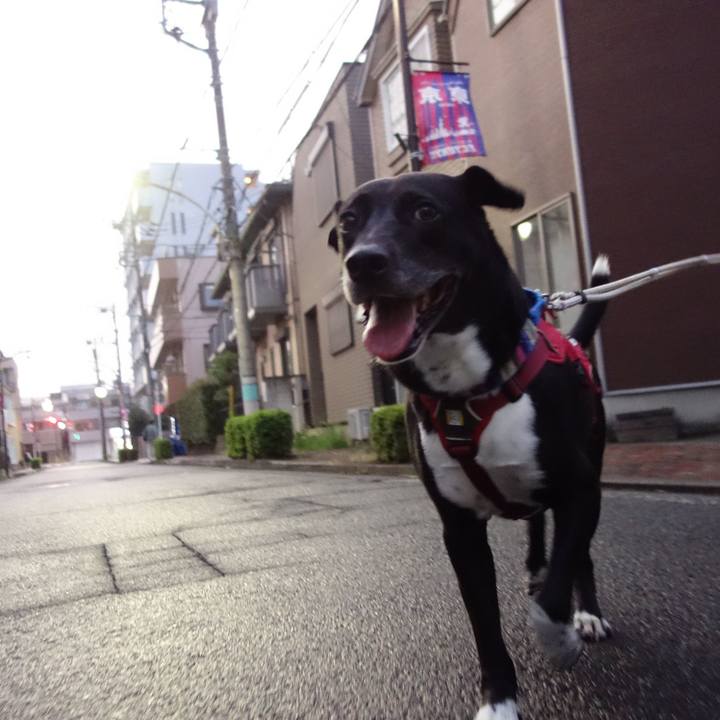 22e96e20 8560 4162 8a5e 51ddc309fab2 1660298917974