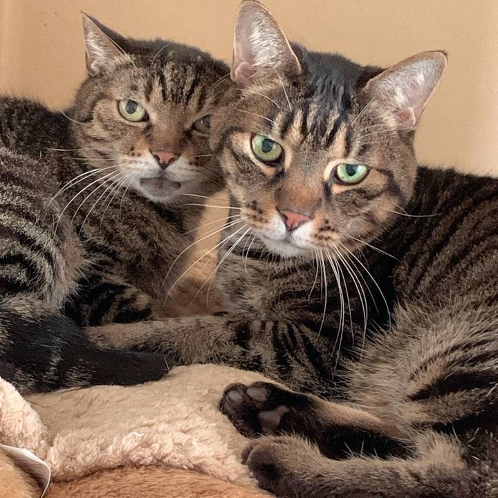 22e97a80 dabe 4b80 ab8b 0149af71ad04 1742776464167